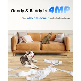 ANNKE 4MP HD Indoor Security Camera, Crater Pro WiFi Camera for Home Security, 2.4/5 GHz Wi-Fi, 2-Way Audio, Auto Tracking, Smart Person/Pet Detection, Ideal for Baby Monitor/Pet Camera/Elder Monitor