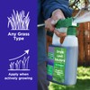 Commercial Grade Lawn Fertilizer with Iron- Liquid Fertilizer Spray- Nitrogen