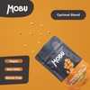Turmeric 2000mg with Black Pepper & Ginger 120 Tablets |