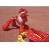 ROOSTER CROWS MICRO Chicken Roping Dummy w/ 2-Chicken Ropes Roping