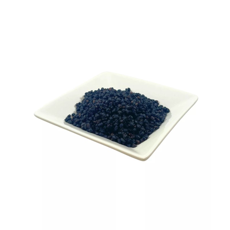 Fresh Organic Whole Elderberries (Sambucus nigra) Wellness, Elderberry FRESH BATCH