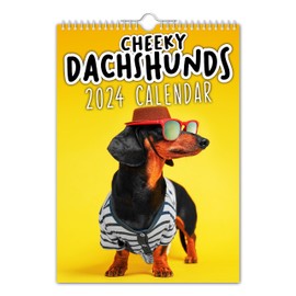 The Calendar King - Cheeky Dachshunds - 2024 Wall Calendar (A4 Size) // Christmas/Dog/Birthday/Gift Idea/Present/Novelty/Secret Santa/Year Planner/Office Gift