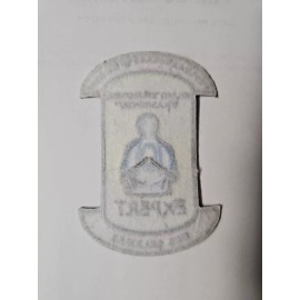 FEDERAL BUREAU OF PRISONS BASIC PRISONER TRANSPORT PATCH