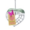 Honeyfields Wild Bird 'Love Nature' Fat Ball Suet Feeder, Heart