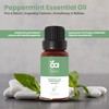 Peppermint Essential Oil by Organic Alley | 100% Pure Therapeutic-Grade
