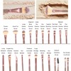 42 Piezas Set de Brochas de Maquillaje Profesional Completo, Juego