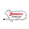 Lammes Candies Texas Chewie Pecan Praline 2 Ounce Gift Box
