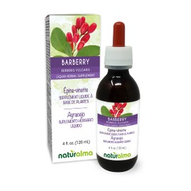 Naturalma Barberry (Berberis vulgaris) Root bark Alcohol-Free Tincture - 4 fl oz Liquid Extract in Drops - Herbal Supplement - Vegan