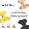 Wild One Dog Harness, The Original No-Pull, Pet Harness with