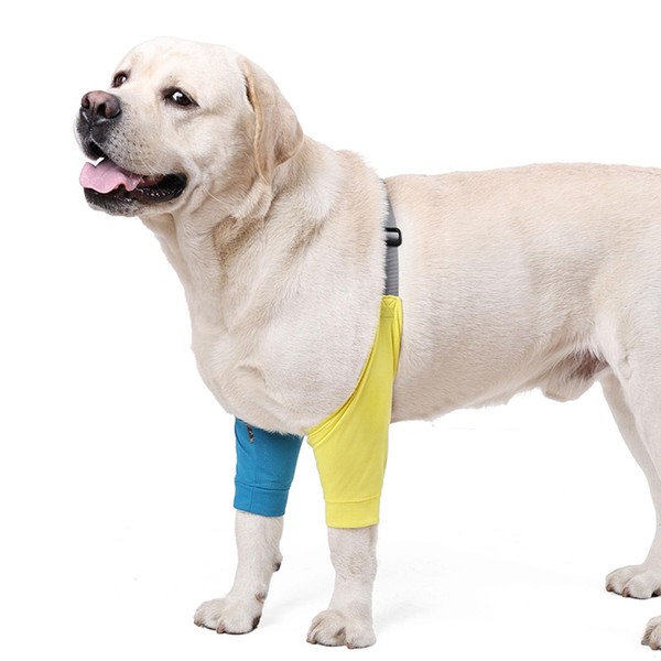 Front Leg Joint Protector Elbow Pads with Pad for Medium