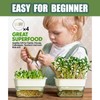 QISHENG - 4 Pack Microgreens Grow Kit,Soil-Free Cultivation Germination Tray,BPA-Free