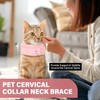 Dog Neck Brace Elizabethan Collar for Pet After Surgery Recovery