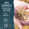 One Degree Organics Sprouted Brown Rice Crisps Cereal, Glyphosate-Free, Gluten-Free,