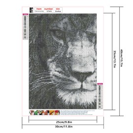 Diamond Painting Pack of 4 Eye 30 x 40 cm Diamond Painting Pictures Tiger Diamond Painting Adult Tiger Diamond Painting Wolf Painting by Numbers Lion Diamond Painting Lion Diamond Painting Owl