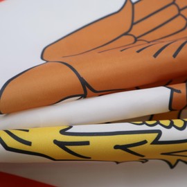 AZ FLAG American Samoa Flag 150 x 90 cm with 4 Eyelets for Balcony or Wall