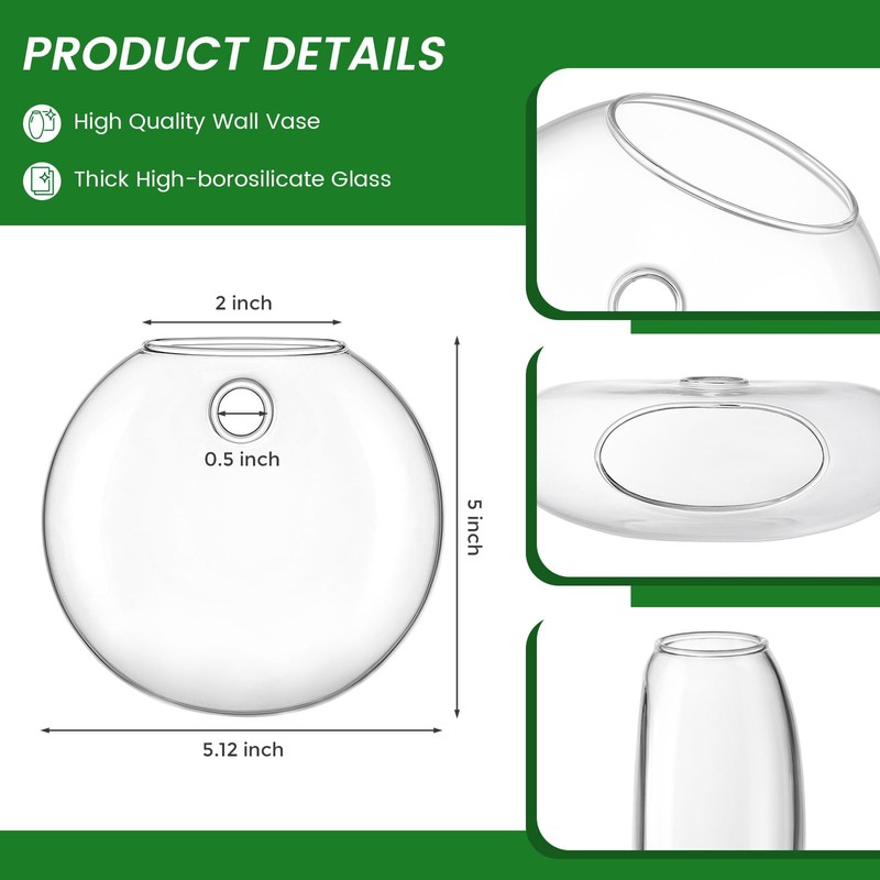 DomeStar 4PCS Wall Vases, Wall Mounted Hanging Glass Vases Clear