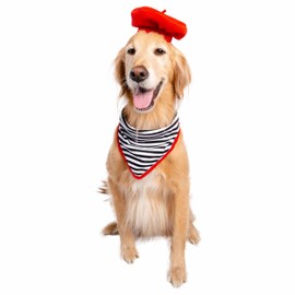 French Beret & Scarf Pet Costume - Two Piece Beret & Scarf Set - Dog & Cat Costume - One Size