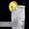 Artisan Salt Company Fusion Naturally Flavored Lemon Twist Sea Salt,