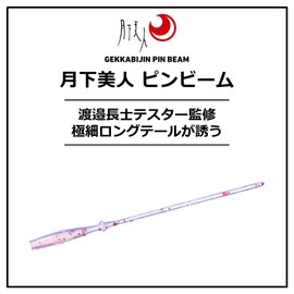 DAIWA Worm Tsukiyobijin Pin Beam 2.6 Squid Goro Black
