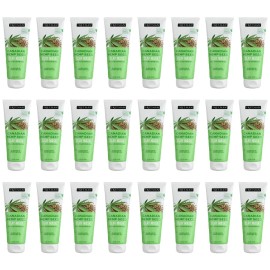 Freeman Pack of (24) New Freeman Canadian Hemp Seed Oil Absorbing Clay Mask, 6 fl oz