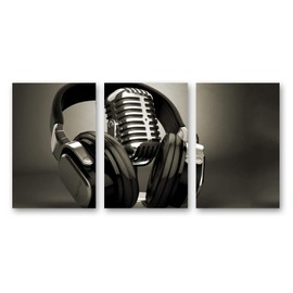 SIGNWIN 3 Piece Canvas Wall Art Microphone Canvas Prints Home Artwork Decoration for Living Room,Bedroom - 16"x24" x 3 Panels