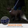 Dog Lead with Soft Padded Handle, 1.2m Reflective Dog Lead