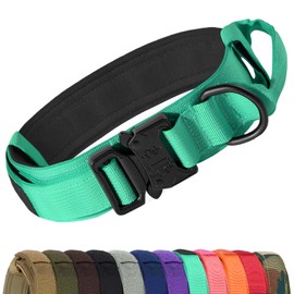 Joytale Tactical Dog Collar with Handle, Dog Collar, 3.8 cm Wide, Adjustable Dog Collar for Large Dogs, Nylon, Turquoise, L