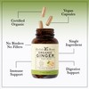Herbal Roots Ginger Supplement | Organic Ginger Root Capsules |