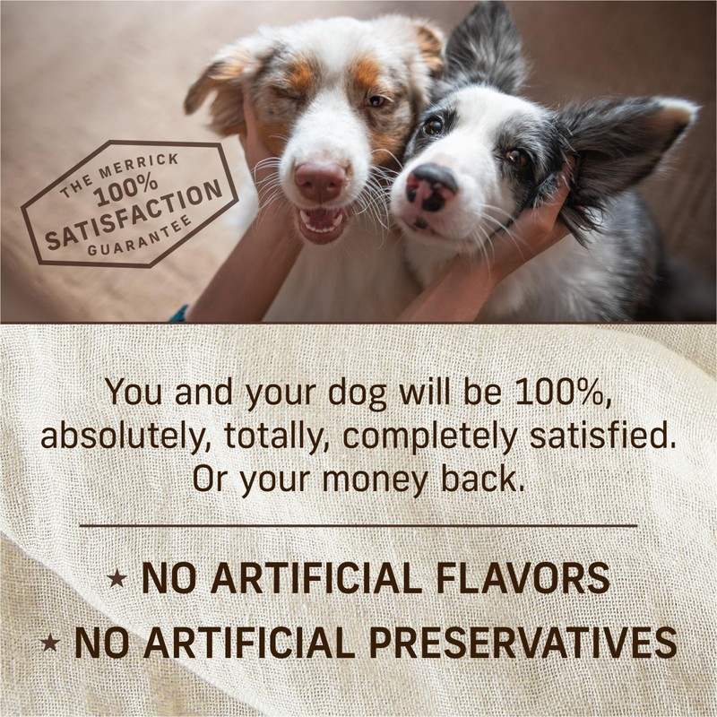 Merrick Grain Free Wet Puppy Food, Premium Soft And Gluten