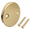RP31556CZ Overflow Plate and Screws Drain Kit Replacement for Delta