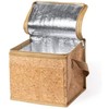 Begoon Cork Lunch Bag - Cool Bag - Shoulder Bag