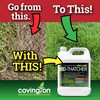 Covington PRO-LINE D-THATCHER Liquid Dethatcher (32oz) – Lawn Thatch Remover