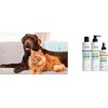 PSH PET SKIN HEALTHCARE Aloe Lover Shampoo, Limpiador para Mascotas,