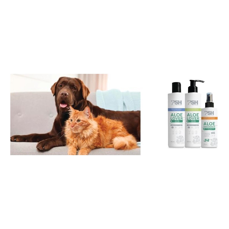 PSH PET SKIN HEALTHCARE Aloe Lover Shampoo, Limpiador para Mascotas,