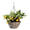 Cultivation Set - Hanging Basket / Complete Set with Basket,