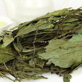 자연닮음 국산 차전초 질경이 200g Nature's resemblance domestic plantago psyllium 200g