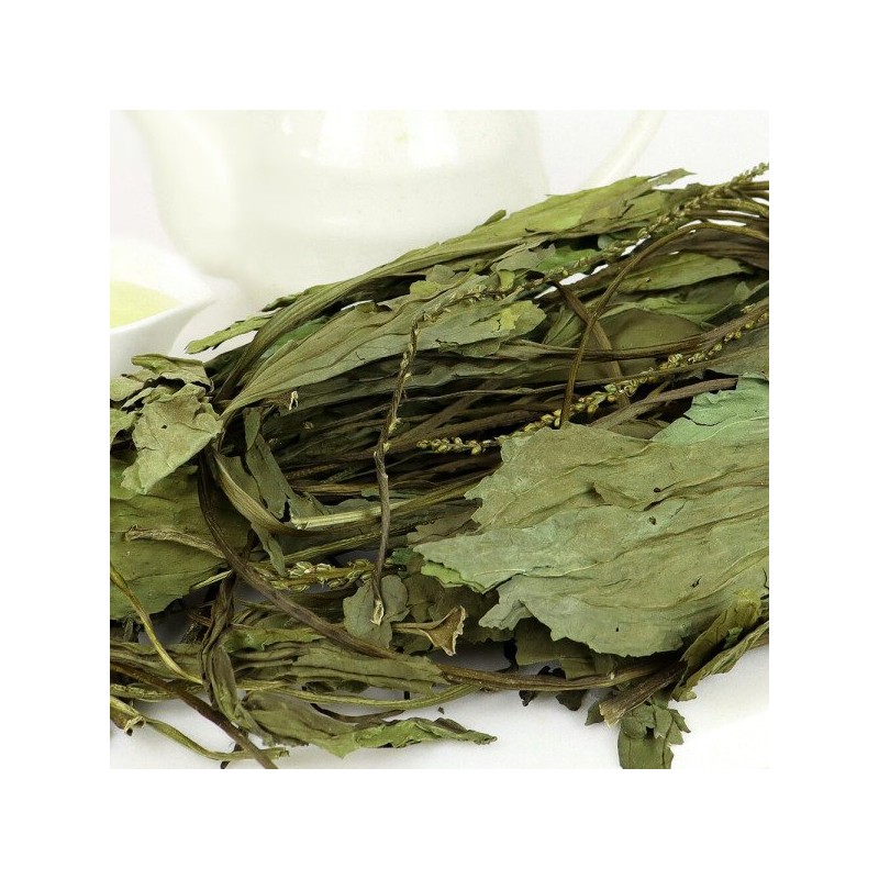 자연닮음 국산 차전초 질경이 200g Nature's resemblance domestic plantago psyllium