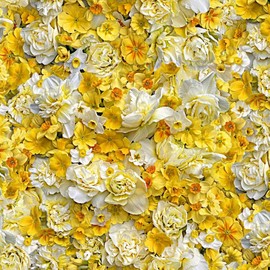 Maywood Hand Picked - Forget Me Not by Nicholas Lapp D10312 S Yellow Cheerfulness Fabric