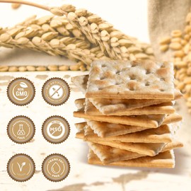 Paskesz Simply Saltines Crackers - Original Saltine Crackers - Light and Crispy Oven-Baked Soup Crackers, Ready to Dip, Non-GMO, 8.8 Ounce - Pack of 2