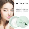 Polvo Mineral No Sebum Control Aceite Maquillaje Rorec Full