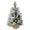 Puleo International Pre-Lit 2' Table Top Artificial Christmas Tree with