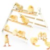 Bamboo Adjustable Chicken Perches, with Adjustable Circles Holder, Strong Roost