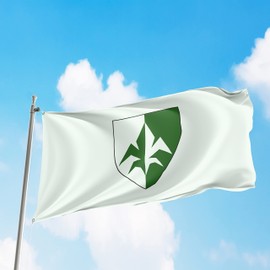 Aman Israel Israel Inteligencia Militar Judío Patriota Ejército Servicio Secreto Agencia Knesset Logo Bandera Bandera Color Vívido Doble Costura Ojales de Latón