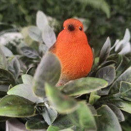 Vivid Arts - Robin Plant Pal - PLP-099