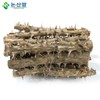 국산 엄나무 음나무 1단 묶음 Domestic Umnamu (Korean Wisteria) 1st