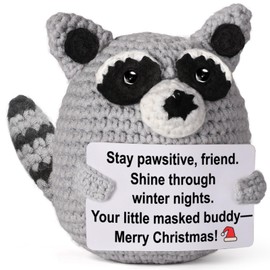 Stocking Stuffers – Mini Crochet Raccoon Plush with Story Sign, Handmade 4-inch, Cute, Kawaii Desk Nightstand Locker Decor, Secret Santa, Woodland Cozy