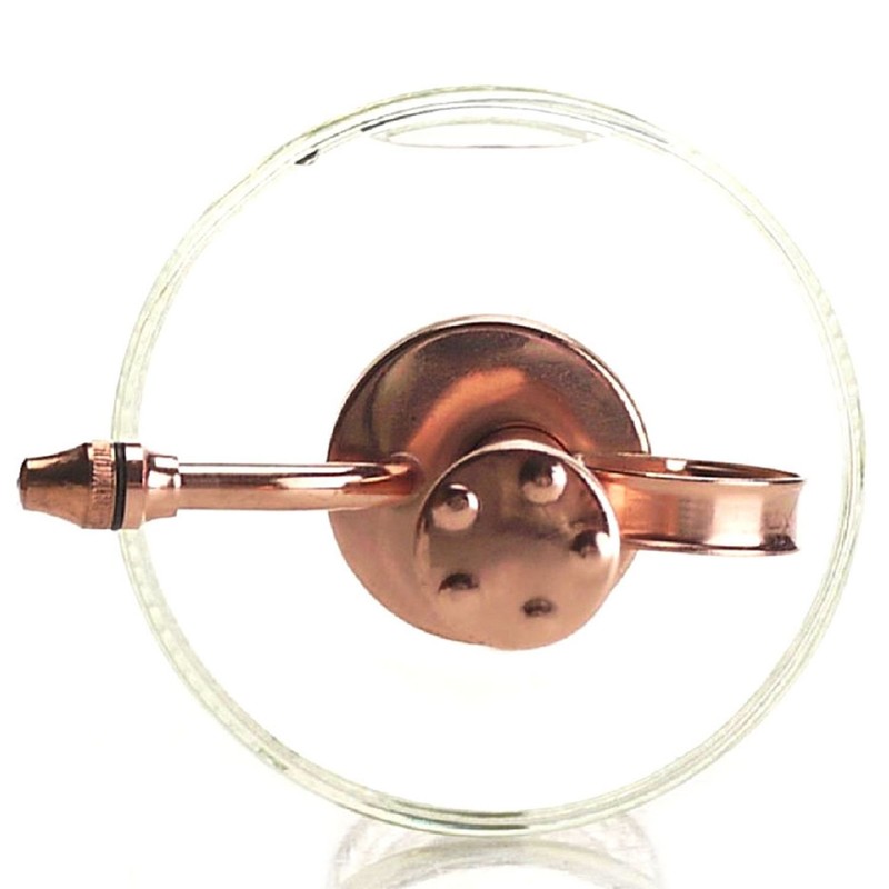 Purism Style Plant Mister- Glass Bottle & Brass Sprayer (Clear