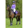Woof Wear Ergonomic Fly Veil Black/Berry Large