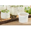 AlcoFermBrew 5 x Cheese Moulds 7.2 x 5.4 cm -