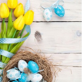 VEPATIM 80 Easter Napkins 3-Ply 33 x 33 cm Easter Nest Motif